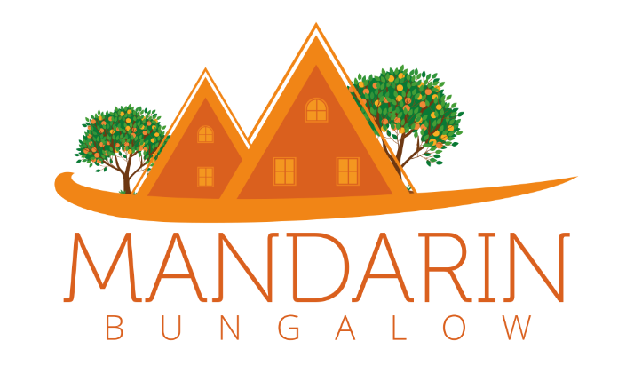 My Website